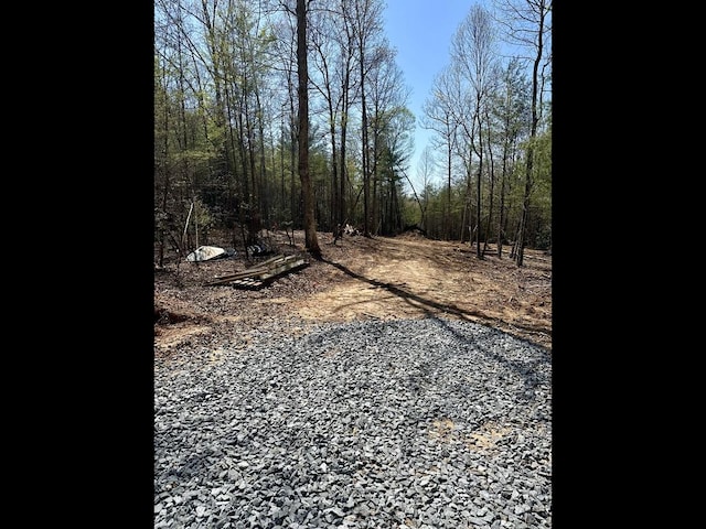 TRA E New Hope Rd E, Ellijay, GA 30536