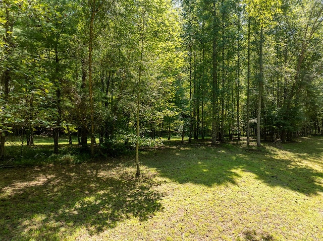 Listing photo 3 for 1 Hogback Dr, Blue Ridge GA 30513