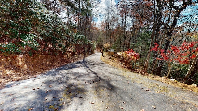 view of road