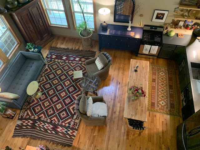 living room featuring hardwood / wood-style floors