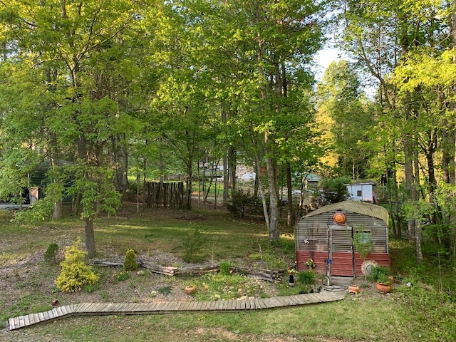 view of yard featuring a shed