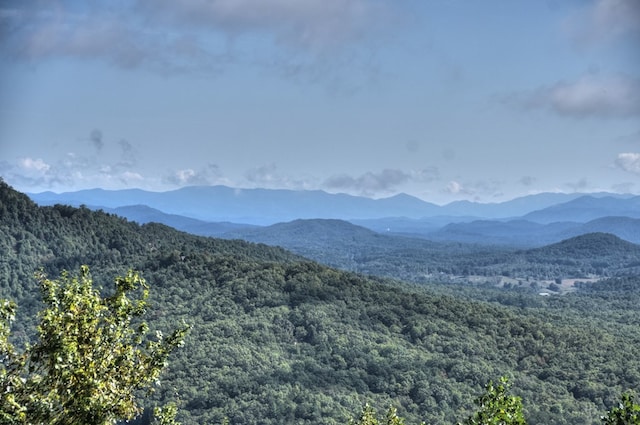 property view of mountains with a wooded view