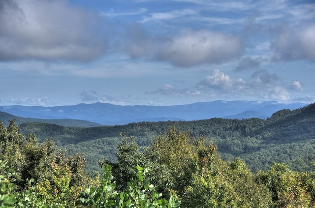 mountain view featuring a wooded view