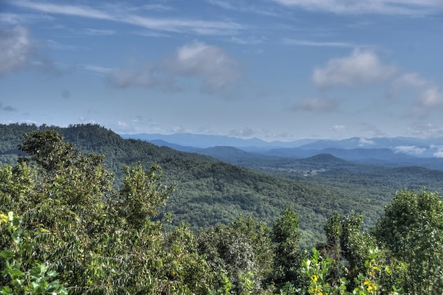 view of mountain feature featuring a view of trees