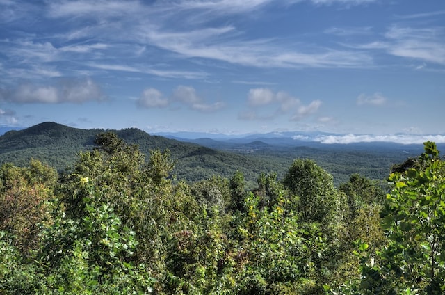 view of mountain feature featuring a wooded view