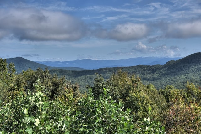 property view of mountains featuring a forest view