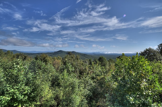 property view of mountains featuring a forest view