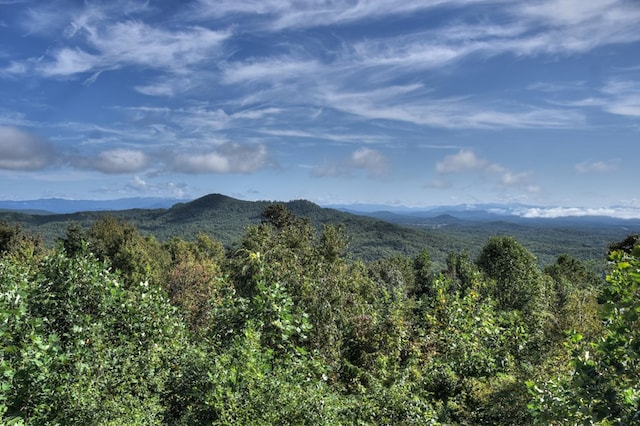 property view of mountains featuring a view of trees