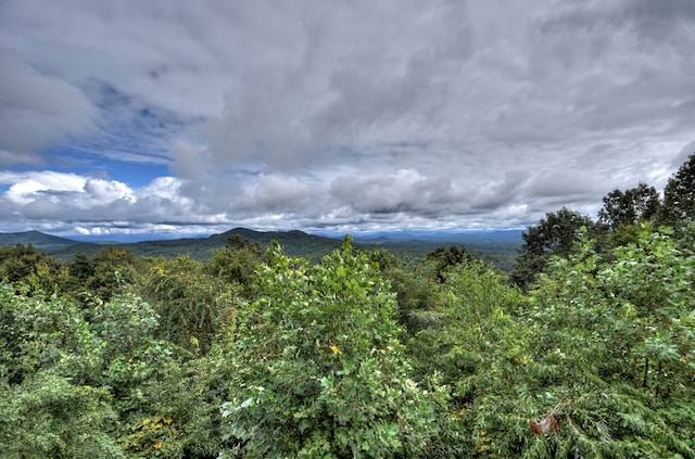 mountain view featuring a view of trees