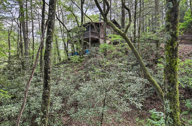 488 Joanne Sisson Rd, Blue Ridge, GA 30513 - view of landscape with a wooded view