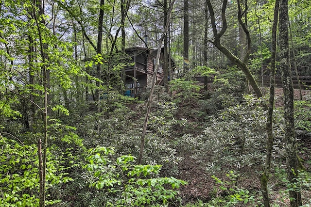 488 Joanne Sisson Rd, Blue Ridge, GA 30513 - view of local wilderness featuring a view of trees