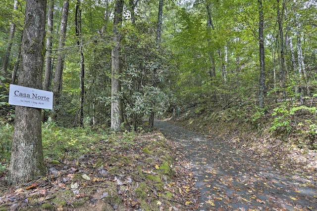 488 Joanne Sisson Rd, Blue Ridge, GA 30513 - view of landscape featuring a forest view
