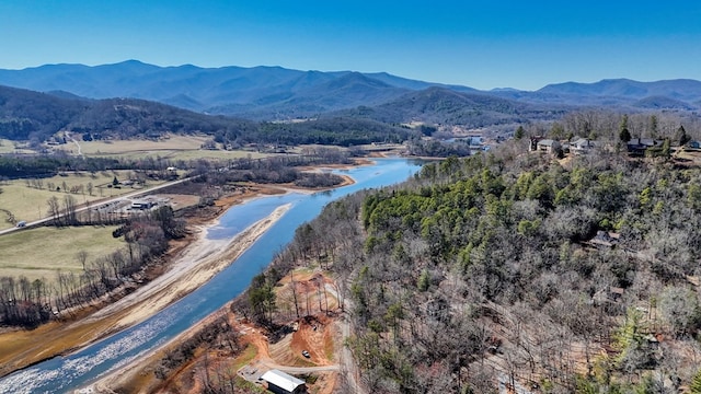 birds eye view of property featuring a water and mountain view and a view of trees