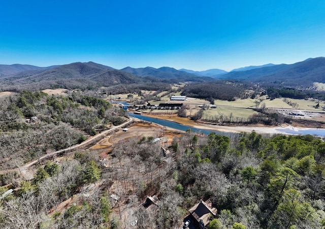 birds eye view of property with a mountain view