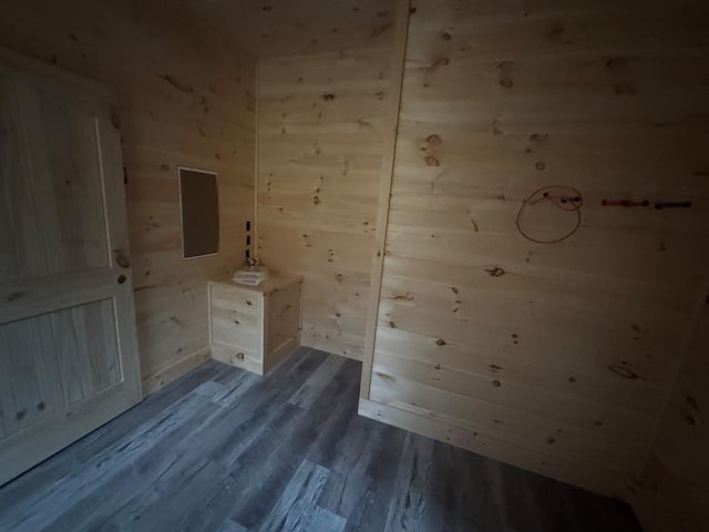 interior space with dark wood finished floors and wooden walls