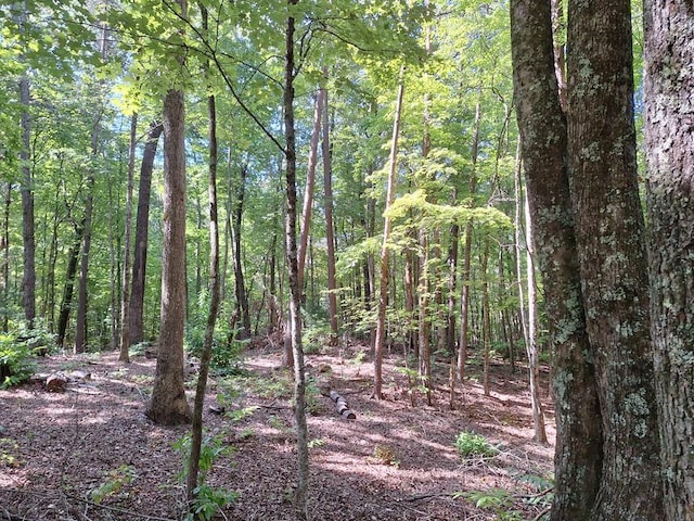 0 Crawford Rd, Mccaysville GA, 30555 land for sale