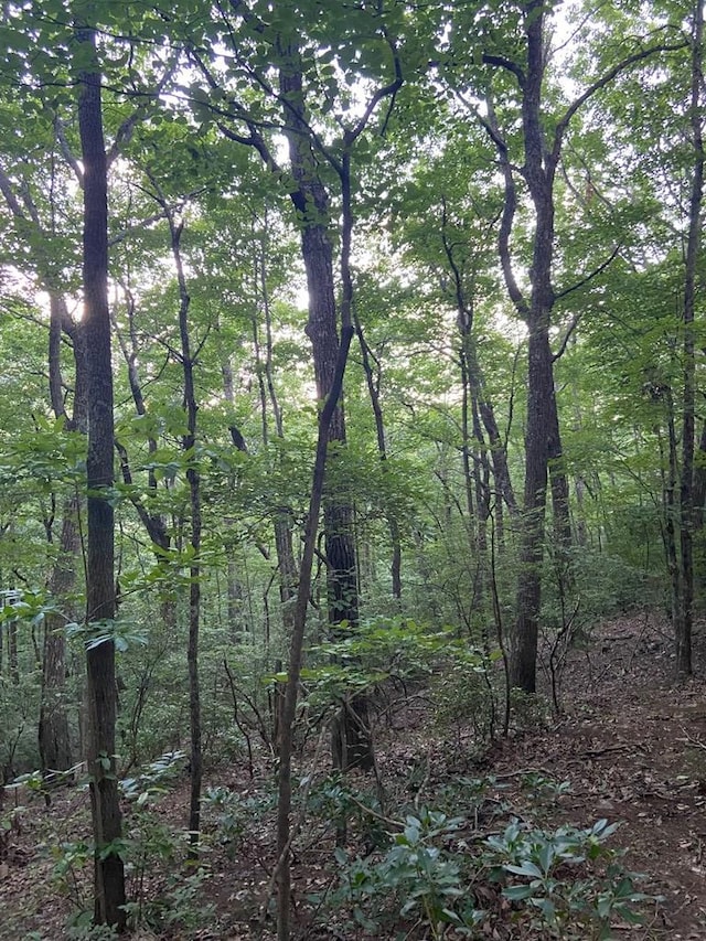 Listing photo 3 for LOT58 Cherokee Cir, Ellijay GA 30536