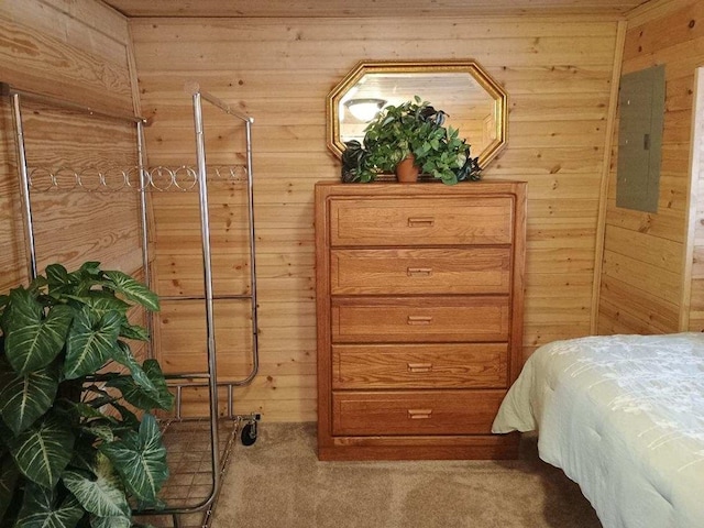 4334 River Bank Run, Hiawassee, GA 30546 - bedroom featuring wood walls, carpet floors, and electric panel