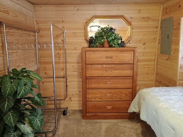 4334 River Bank Run, Hiawassee, GA 30546 - carpeted bedroom featuring wood walls and electric panel