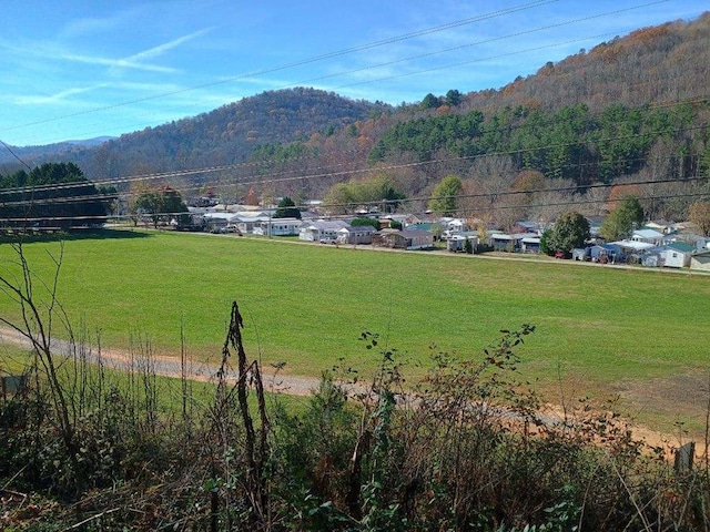 4334 River Bank Run, Hiawassee, GA 30546 - view of mountain background