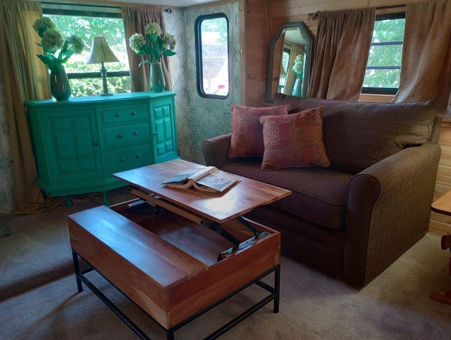 4334 River Bank Run, Hiawassee, GA 30546 - view of carpeted living room