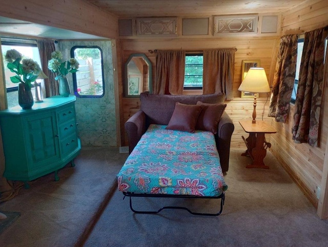 4334 River Bank Run, Hiawassee, GA 30546 - carpeted bedroom featuring wood walls
