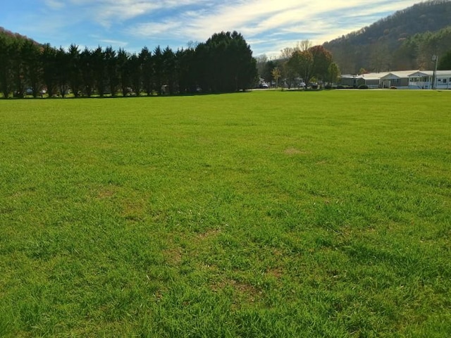 4334 River Bank Run, Hiawassee, GA 30546 - view of green lawn with a mountain view