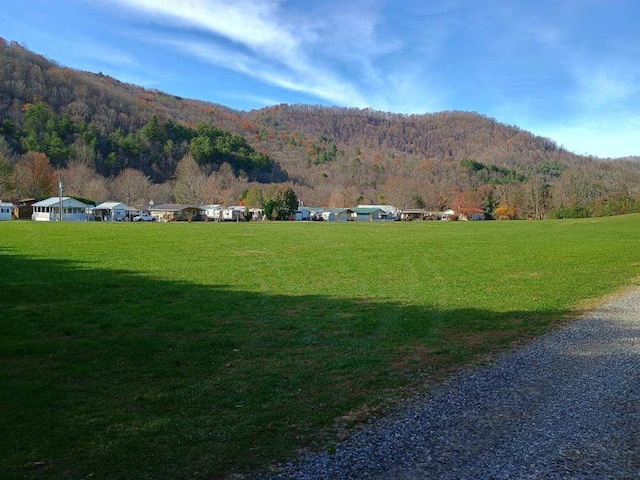 4334 River Bank Run, Hiawassee, GA 30546 - mountain view