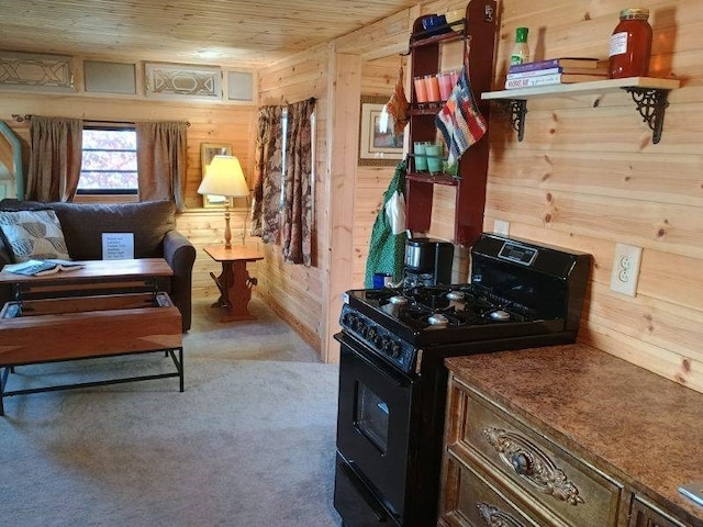 4334 River Bank Run, Hiawassee, GA 30546 - living area with wooden walls and wood ceiling