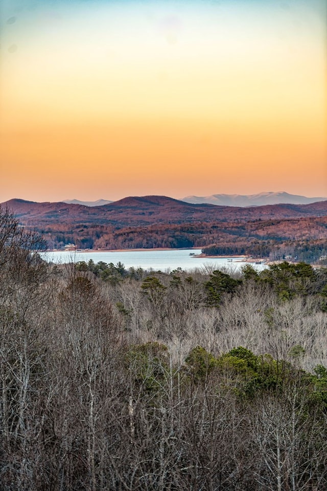 water view with a mountain view