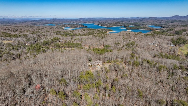 bird's eye view featuring a water and mountain view