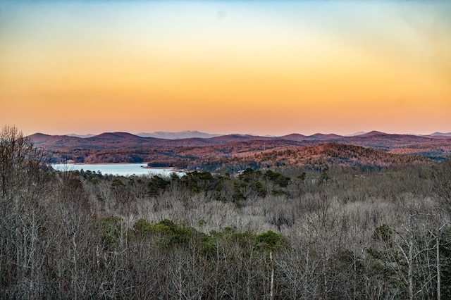 view of mountain feature with a water view