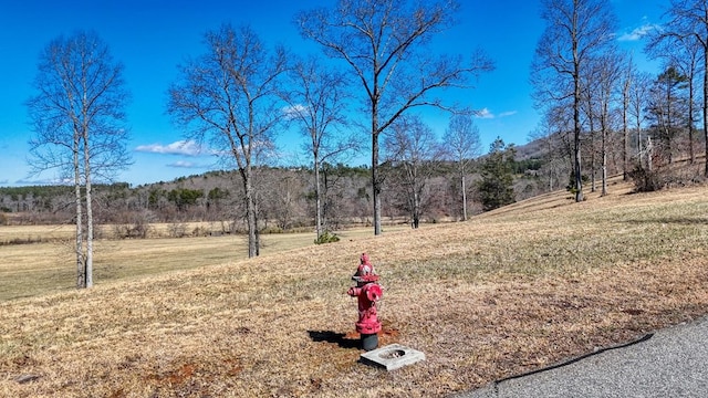 Listing photo 3 for 0.0 Lola Dr, Blairsville GA 30512