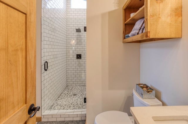 bathroom with toilet, a shower stall, and vanity