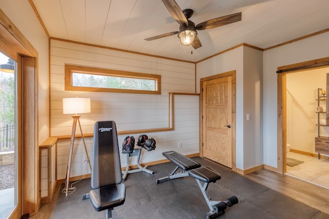 workout room with crown molding, baseboards, a ceiling fan, and wooden walls