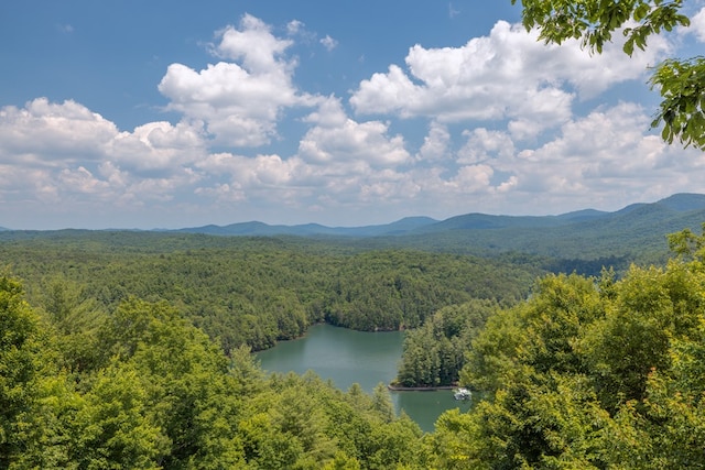 property view of mountains with a water view