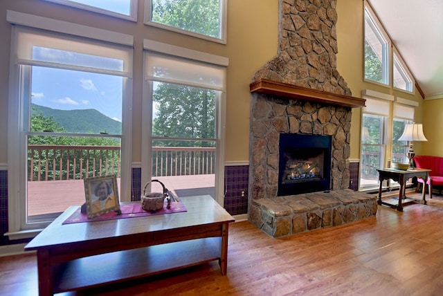 8300 Soapstone Creek Cir, Hiawassee, GA 30546 - living room featuring a towering ceiling, wood finished floors, a stone fireplace, and a mountain view