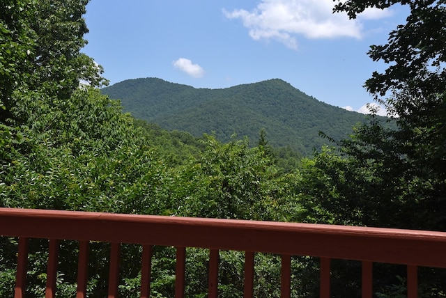 8300 Soapstone Creek Cir, Hiawassee, GA 30546 - view of mountain background
