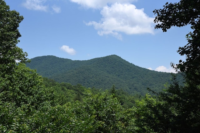 8300 Soapstone Creek Cir, Hiawassee, GA 30546 - view of mountain backdrop with a heavily wooded area