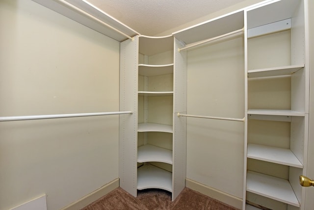 8300 Soapstone Creek Cir, Hiawassee, GA 30546 - walk in closet with carpet floors