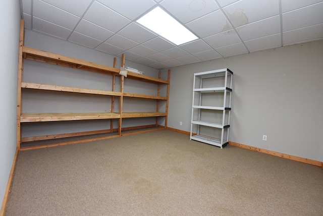 8300 Soapstone Creek Cir, Hiawassee, GA 30546 - view of storage room