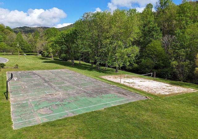 8300 Soapstone Creek Cir, Hiawassee, GA 30546 - view of green lawn featuring volleyball court and a view of trees