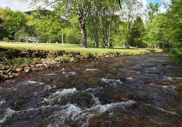 8300 Soapstone Creek Cir, Hiawassee, GA 30546 - view of wooded area