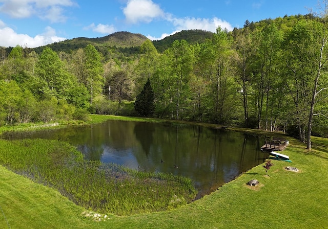 8300 Soapstone Creek Cir, Hiawassee, GA 30546 - water view with a forest and a mountain backdrop
