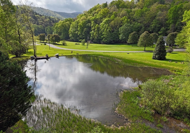 8300 Soapstone Creek Cir, Hiawassee, GA 30546 - water view with mountains and a heavily wooded area