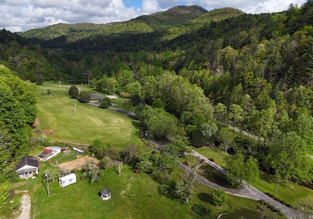 8300 Soapstone Creek Cir, Hiawassee, GA 30546 - aerial view of property and surrounding area with a heavily wooded area and a mountain backdrop