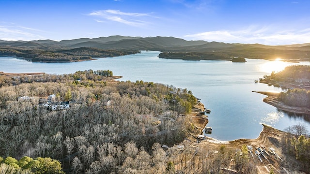 water view featuring a mountain view