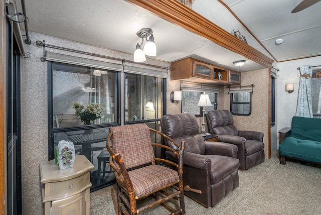 cinema room featuring vaulted ceiling