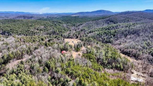 birds eye view of property with a wooded view and a mountain view