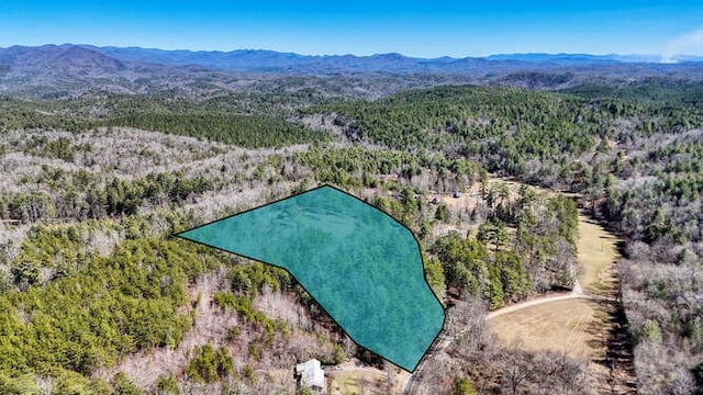 aerial view featuring a mountain view and a view of trees